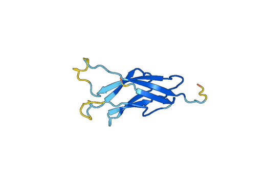DSG3 (Asp269-Arg384), C-His, recombinant protein