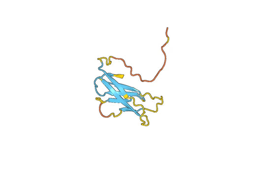 DSG3 (Asp500-Arg615), C-His, recombinant protein