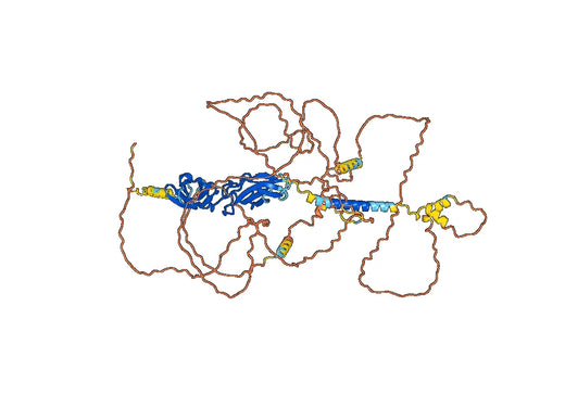 Dupilumab ELISA Kit