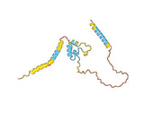 Dusigitumab Biosimilar - Anti-IGF1, IGF2 mAb - Research Grade