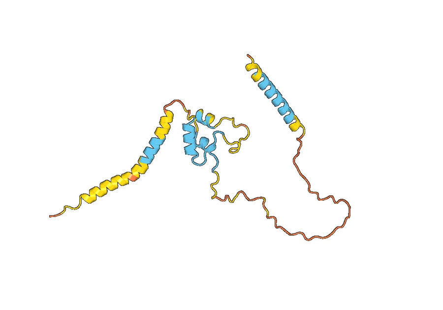 Dusigitumab Biosimilar - Anti-IGF1, IGF2 mAb - Research Grade