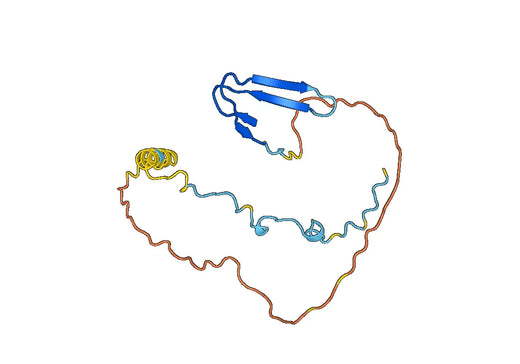 E2F1, N-His, recombinant protein
