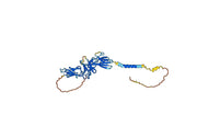 Eblasakimab Biosimilar - Anti-IL13R mAb - Research Grade