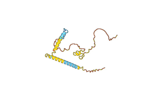 EDN1, N-His, recombinant protein