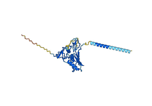 Edrecolomab ELISA Kit
