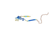Efgivanermin Alfa Biosimilar - Anti-TNFRSF18 fusion protein - Research Grade