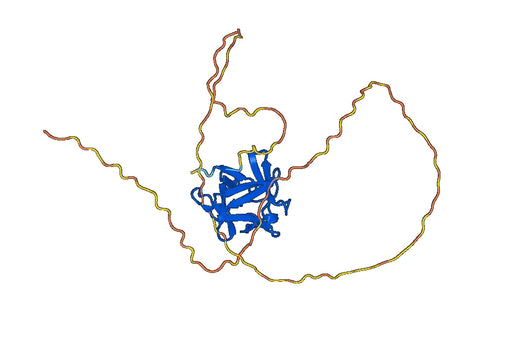Eflimrufusp Alfa Biosimilar - Anti-VEGF fusion protein - Research Grade