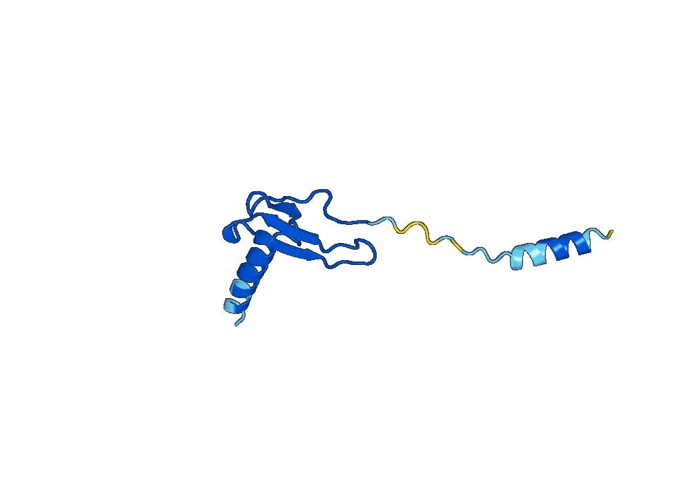Eldelumab Biosimilar - Anti-CXCL10 mAb - Research Grade