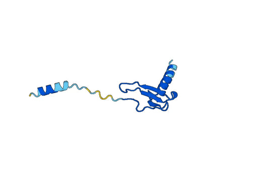 Eldelumab ELISA Kit