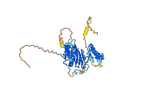 Elezanumab ELISA Kit