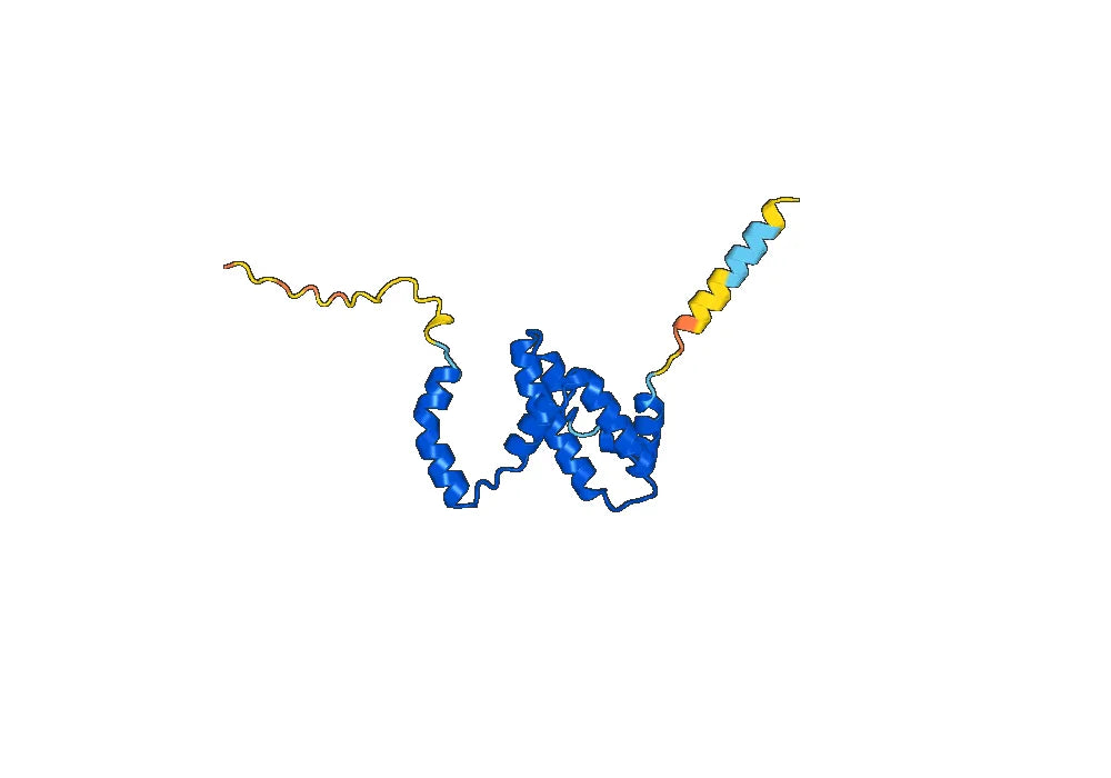 Emapalumab Biosimilar - Anti-IFNG mAb - Research Grade