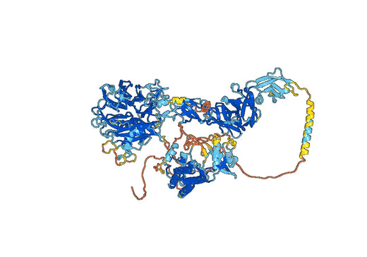 Emibetuzumab ELISA Kit