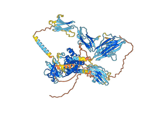 Emirodatamab Biosimilar - Anti-FLT3;CD3E mAb - Research Grade