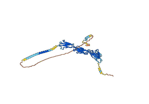 Enfortumab ELISA Kit