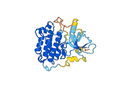 Epidermal growth factor receptor(EGFR)