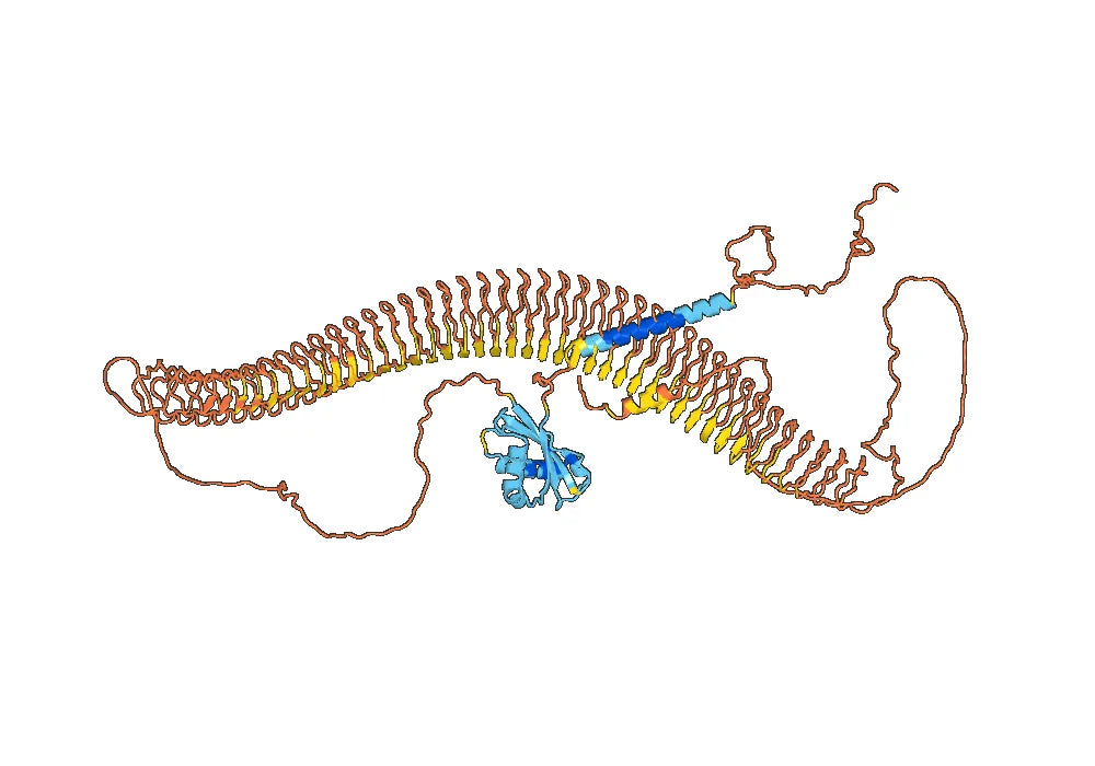Epitumomab Biosimilar - Anti-MS4A1 mAb - Research Grade