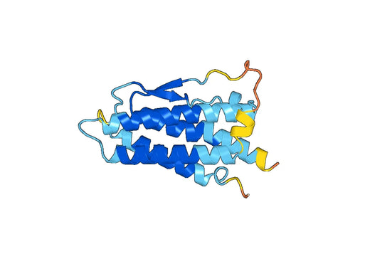 EPO, C-His, recombinant protein