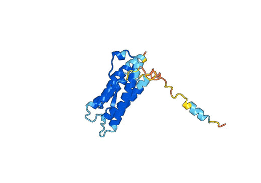 EPO (Val3-Arg193), N-His, recombinant protein
