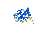 Estrogen receptor (in E.coli)