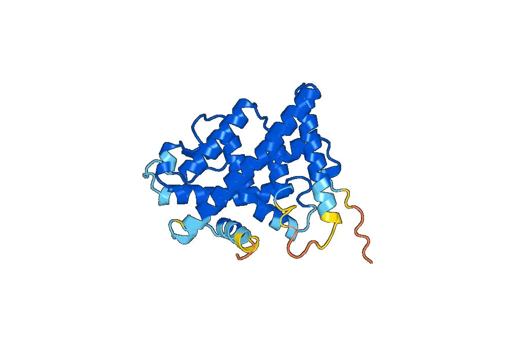 Estrogen receptor (in E.coli)