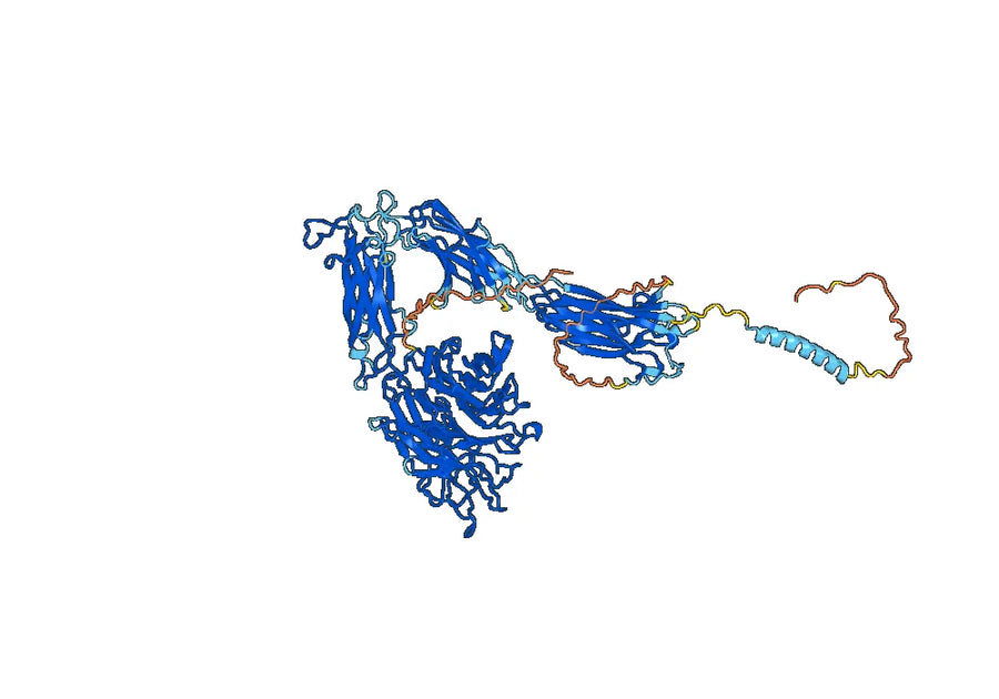 Etaracizumab Biosimilar - Anti-ITGAV_ITGB3 mAb - Research Grade