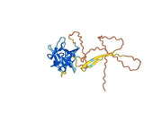 Etokimab Biosimilar - Anti-IL33 mAb - Research Grade