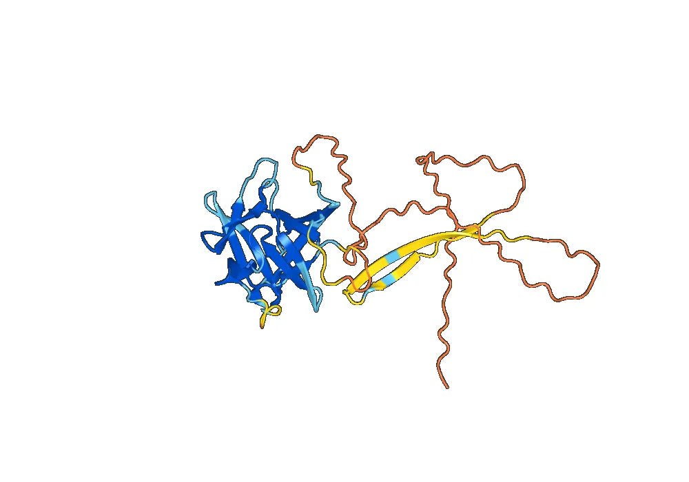 Etokimab Biosimilar - Anti-IL33 mAb - Research Grade