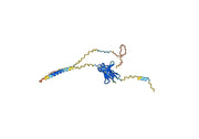 Ezabenlimab Biosimilar - Anti-PDCD1 mAb - Research Grade