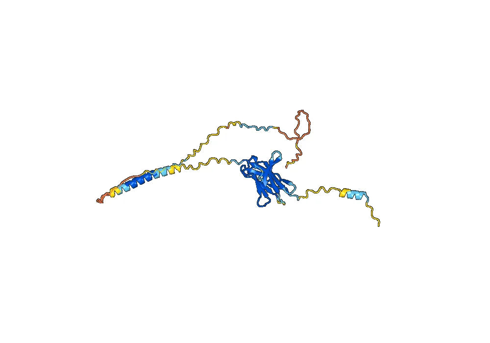 Ezabenlimab Biosimilar - Anti-PDCD1 mAb - Research Grade