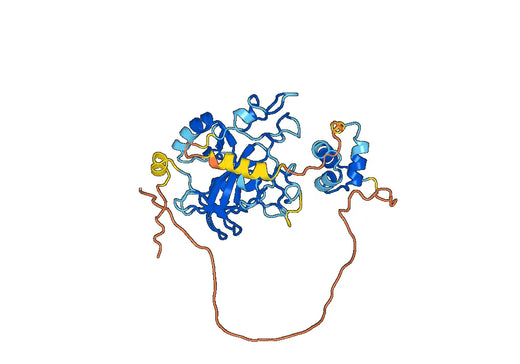 EZH2, N-GST, recombinant protein