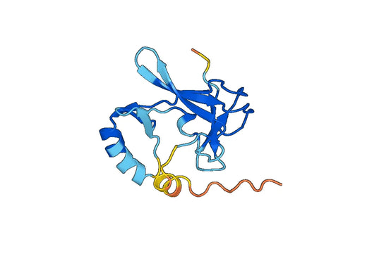 EZH2 Protein, N-His, recombinant protein