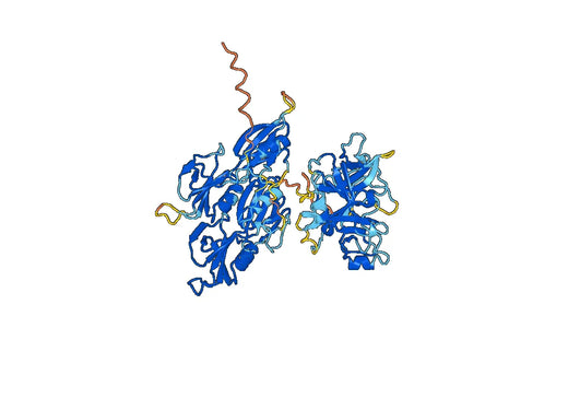 F11, C-His, recombinant protein