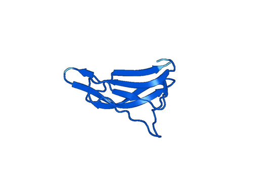 F8, N-GST, recombinant protein