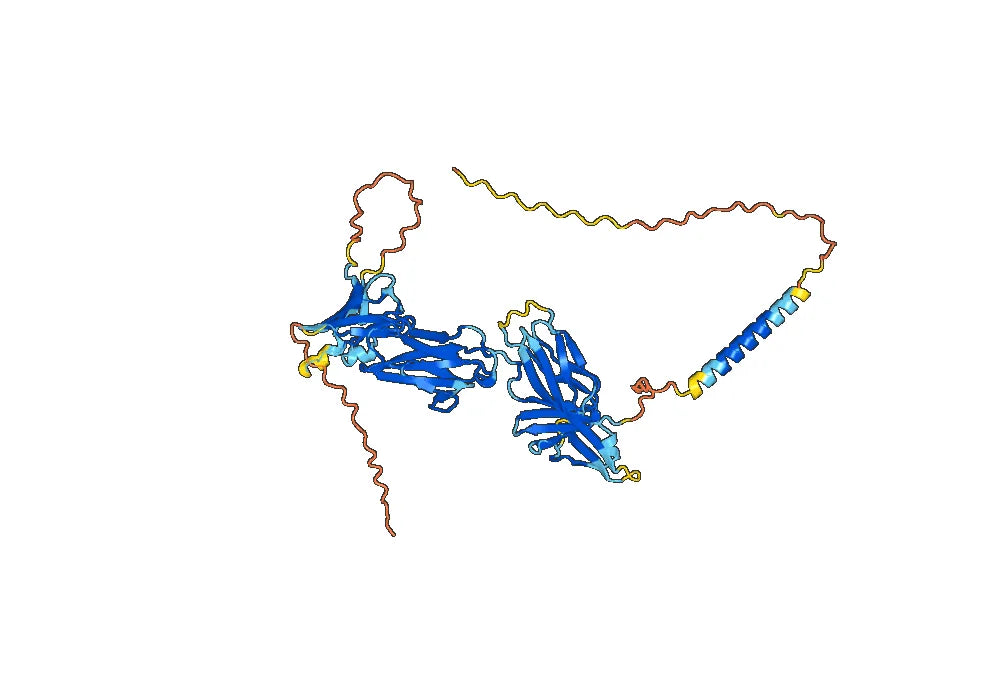 Fanastomig Biosimilar - Anti-FDC; CD279 mAb - Research Grade