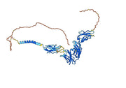 Faralimomab Biosimilar - Anti-IFNA1 mAb - Research Grade