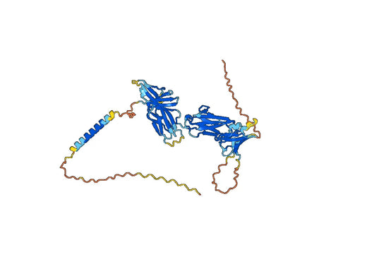 Favezelimab ELISA Kit