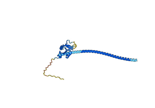 FCER2 recombinant protein