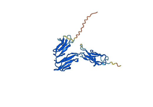 FCGR1 recombinant protein