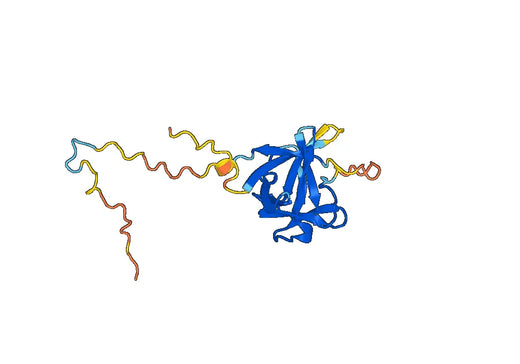 Fibroblast growth factor 21(FGF21)(29-209)