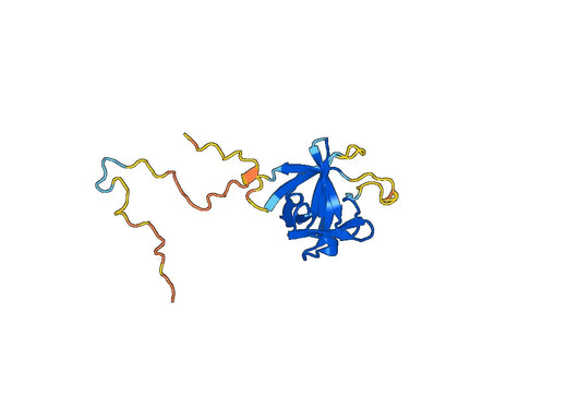 Fibroblast growth factor 21(FGF21)(29-210)