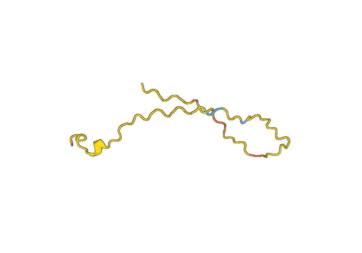 Fibroblast growth factor 23(FGF23)