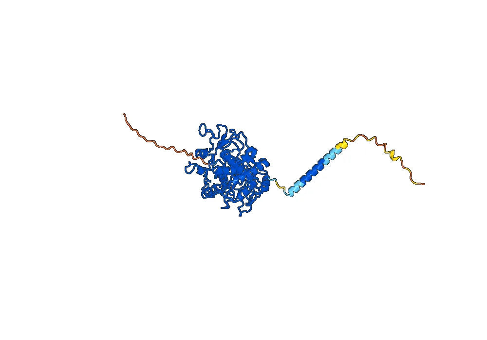 Flanvotumab Biosimilar - Anti-TYRP1 mAb - Research Grade