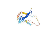 Fulranumab Biosimilar - Anti-NGF, NGFB mAb - Research Grade
