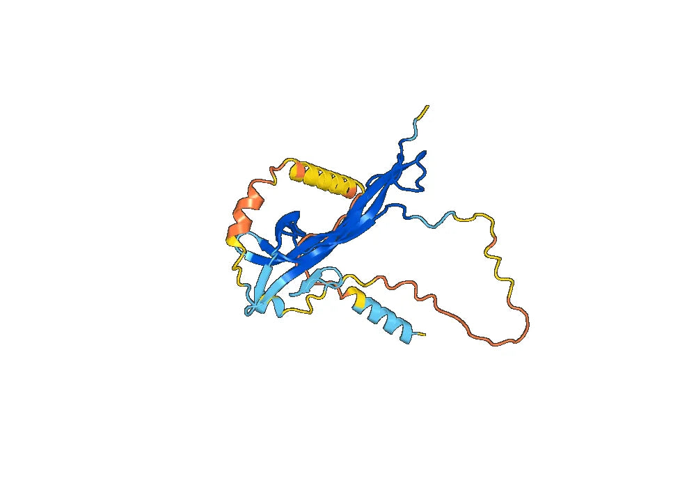 Fulranumab Biosimilar - Anti-NGF, NGFB mAb - Research Grade