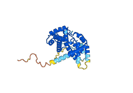 G1-S specific cyclin-D2(CCND2)
