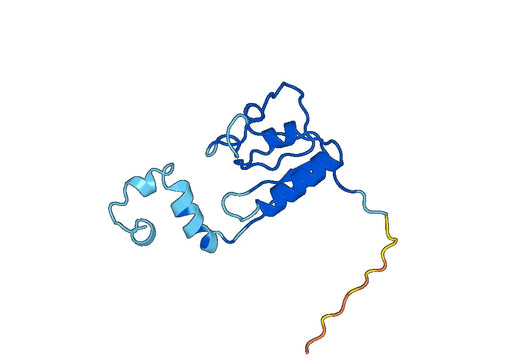 GAL3ST1, N-GST, recombinant protein