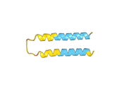 Gatralimab Biosimilar - Anti-CD52 mAb - Research Grade