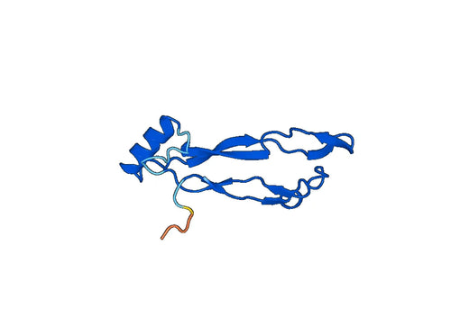 GDF2, N-His, recombinant protein