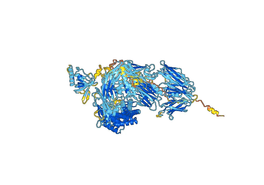 Gefurulimab Biosimilar - Anti-C5;ALB mAb - Research Grade