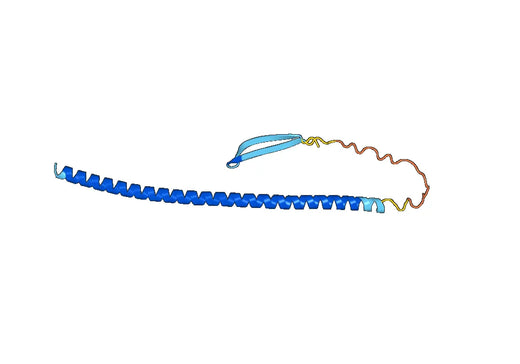 GFAP, N-His, recombinant protein
